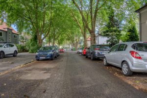 Grüne Allee an der Straße