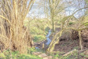 Zugang zum Vogelrothbach