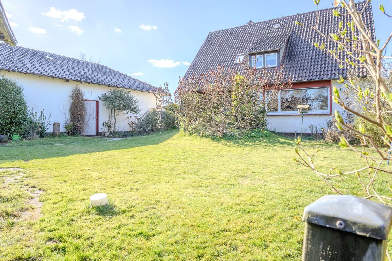 Blick aus dem Garten