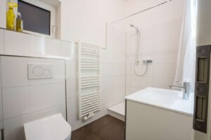 Modernes Duschbad im EG (Nr. 2)